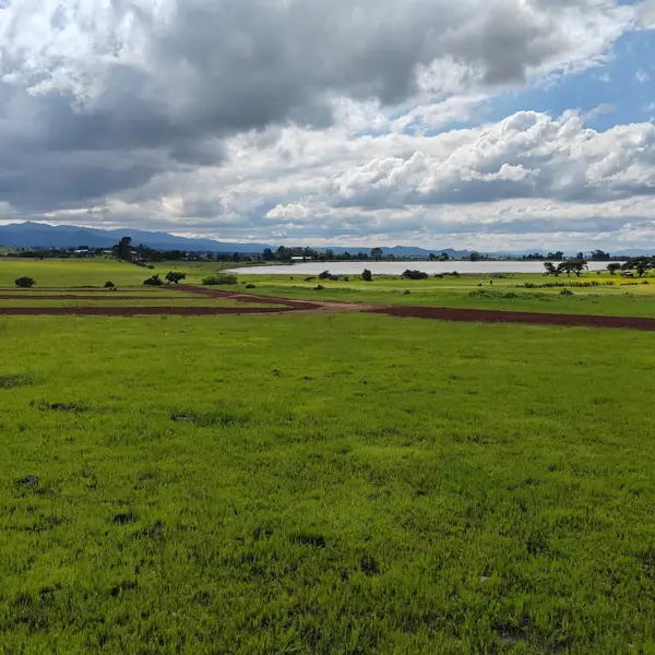 Terreno en venta en San Miguel Cacaloapan, Huasca de Ocampo — foto 2 de 10