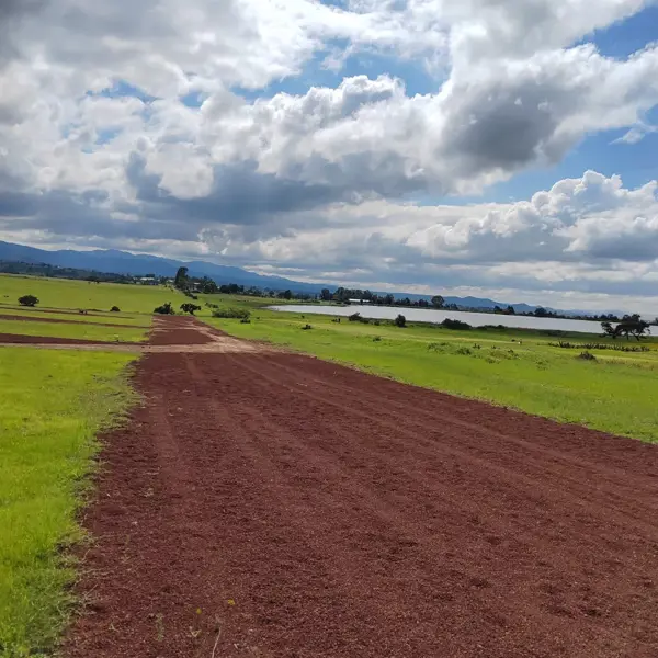 Terreno en venta en San Miguel Cacaloapan, Huasca de Ocampo — foto 3 de 10