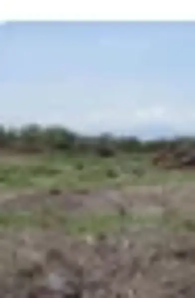 Terreno en venta en Atlacholoaya, Xochitepec — foto 2 de 2
