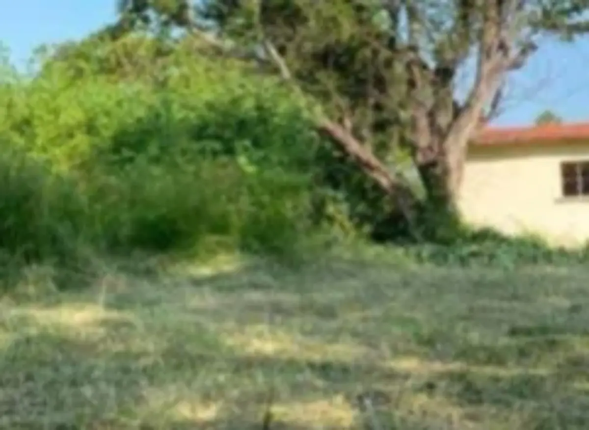 Terreno en venta en Atlacholoaya, Xochitepec — foto 1 de 2