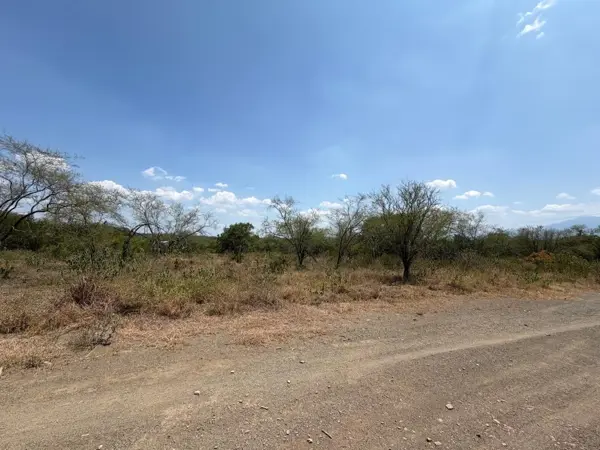 Terreno en venta en Valle Dorado, Montemorelos — foto 2 de 3