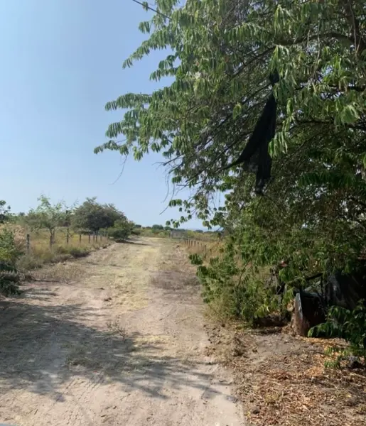 Terreno en venta en Loma Linda, Puente de Ixtla — foto 3 de 6