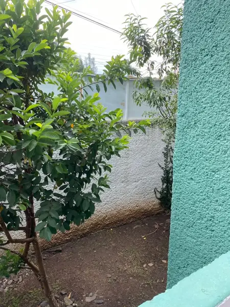 Casa en renta en Nueva Jacarandas, Morelia — foto 2 de 10
