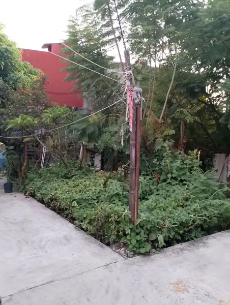 Terreno en venta en Cuernavaca Centro, Cuernavaca — foto 3 de 3