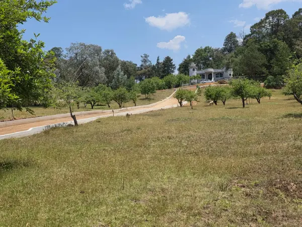 Terreno en venta en Canales, Acaxochitlán — foto 2 de 32