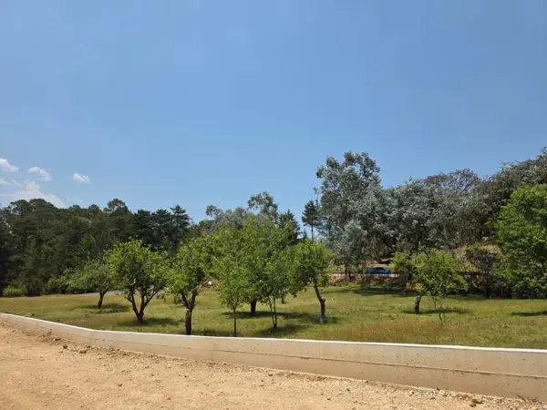 Terreno en venta en Canales, Acaxochitlán — foto 3 de 32