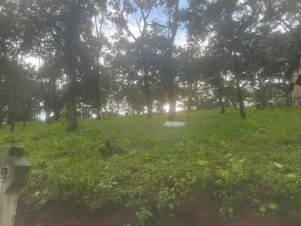 Terreno en venta en La Estacada, Mazamitla — foto 2 de 13