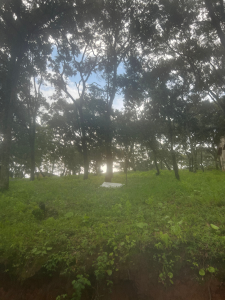 Terreno en venta en La Estacada, Mazamitla — foto 3 de 13