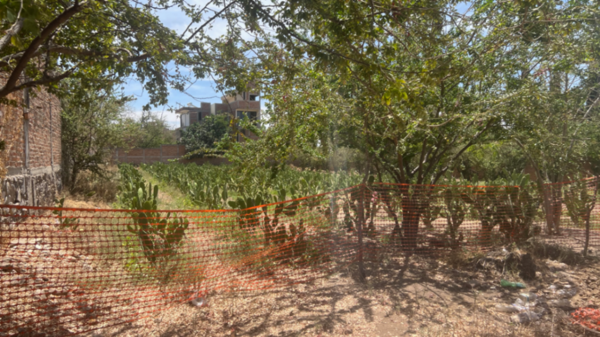 Terreno en venta en San Martín de las Flores de Abajo, San Pedro Tlaquepaque — foto 3 de 8