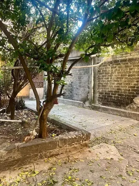 Terreno en venta en Portales Norte, Benito Juárez — foto 3 de 14