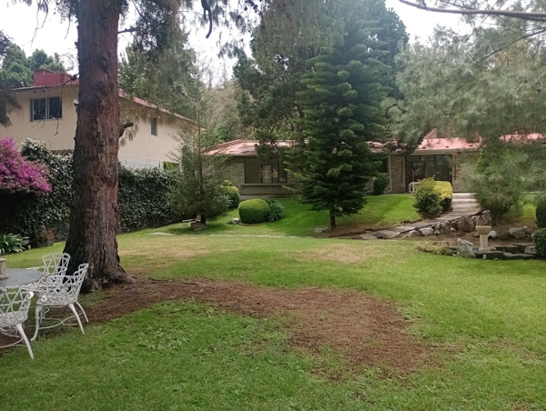 Casa en venta en Jardines del Pedregal de San Angel, Coyoacán — foto 3 de 33