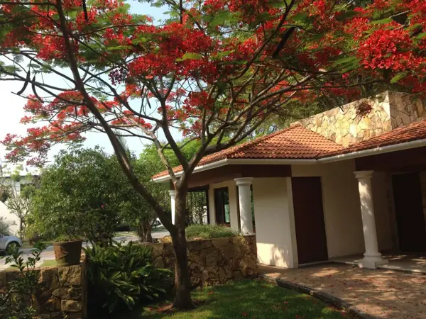 Departamento en renta en Rincón del Conchal, Alvarado — foto 3 de 11