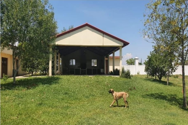 Quinta en venta en Morelos I, Montemorelos — foto 3 de 10