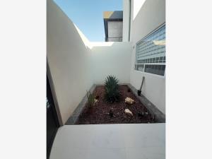 Casa en renta en Los Viñedos, Torreón — foto 2 de 15