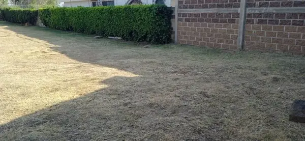 Terreno en venta en La Joya (Agropecuaria Tenextepec), Atlixco — foto 2 de 8