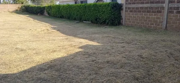 Terreno en venta en La Joya (Agropecuaria Tenextepec), Atlixco — foto 3 de 8