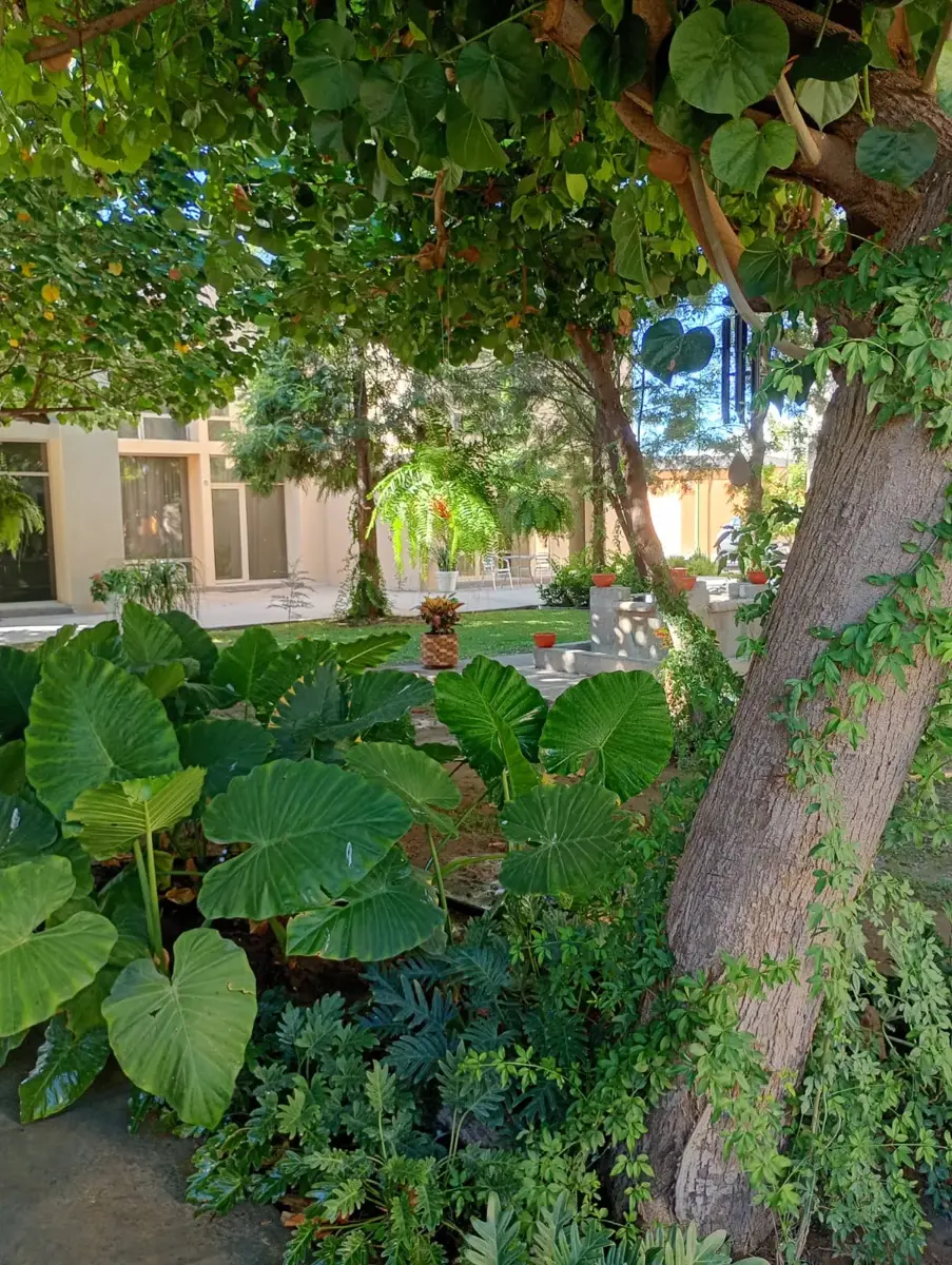 Departamento en renta en Rincón San Ángel, Torreón — foto 1 de 22