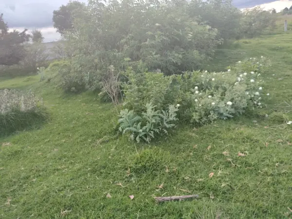 Terreno en venta en San Miguel Totocuitlapilco, Metepec — foto 3 de 5