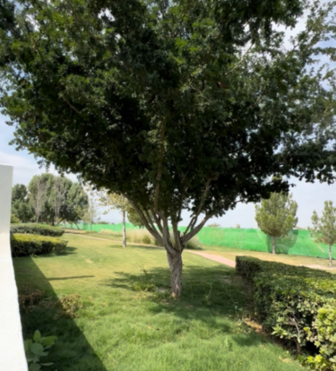 Terreno en venta en Altozano la Nueva Laguna, Gómez Palacio — foto 1 de 5