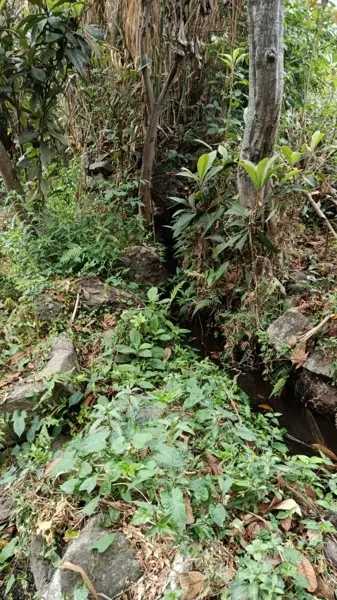 Terreno en venta en La Loma, Malinalco — foto 2 de 3