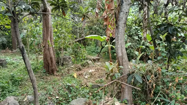 Terreno en venta en La Loma, Malinalco — foto 3 de 3