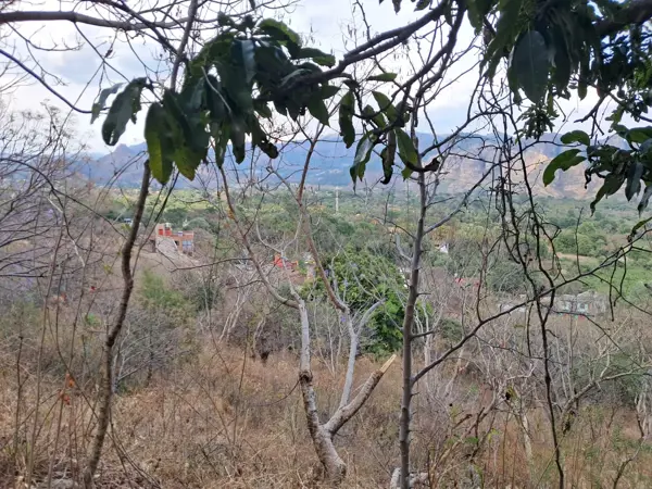 Terreno en venta en Jalmolonga (La Hacienda), Malinalco — foto 3 de 4