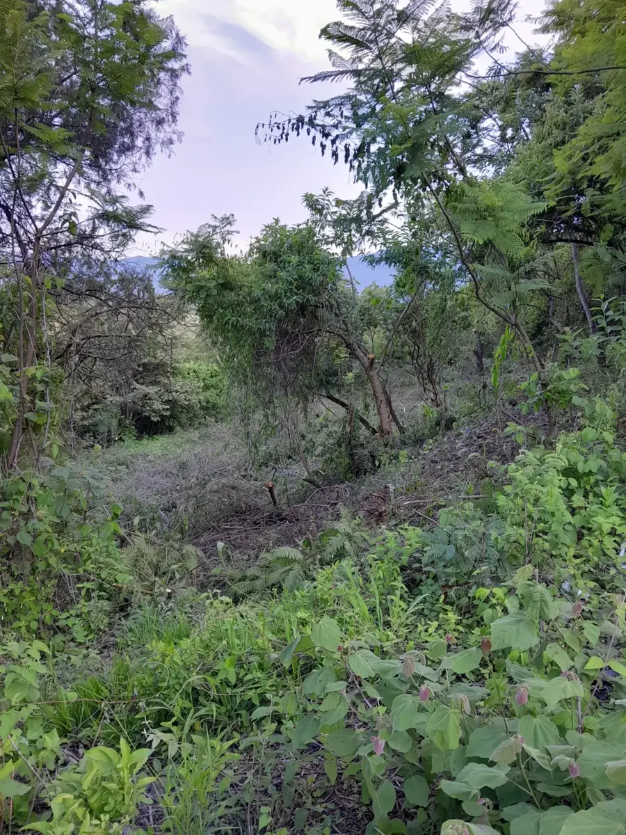 Terreno en venta en Jalmolonga (La Hacienda), Malinalco — foto 1 de 4