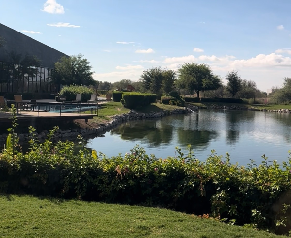 Terreno en venta en Altozano la Nueva Laguna, Gómez Palacio — foto 2 de 5