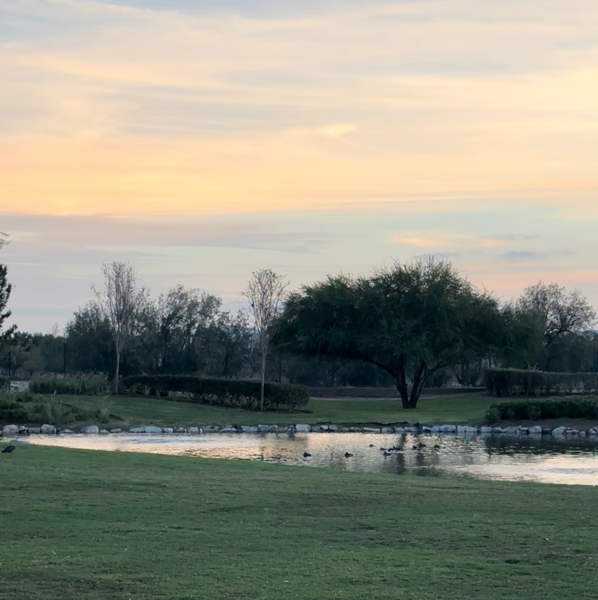 Terreno en venta en Altozano la Nueva Laguna, Gómez Palacio — foto 3 de 5