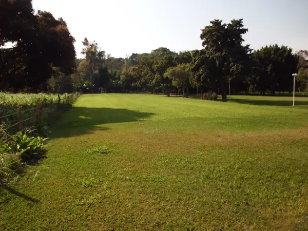 Quinta en venta en El Rodeo, Miacatlán — foto 3 de 9