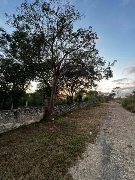 Terreno en venta en Oxcum, Umán — foto 3 de 9