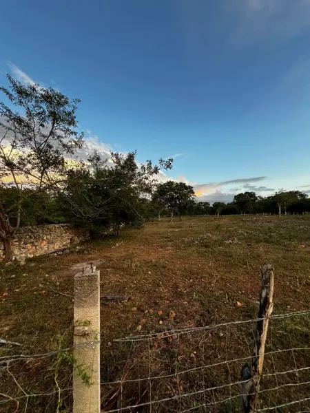 Terreno en venta en Oxcum, Umán — foto 2 de 17