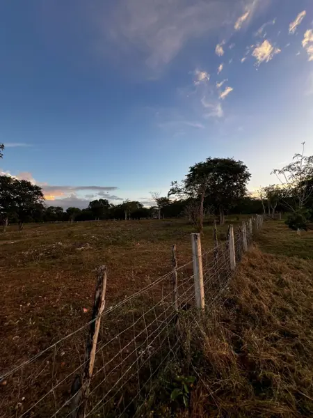 Terreno en venta en Oxcum, Umán — foto 3 de 17