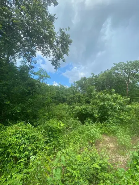 Terreno en venta en Komchen, Mérida — foto 3 de 8