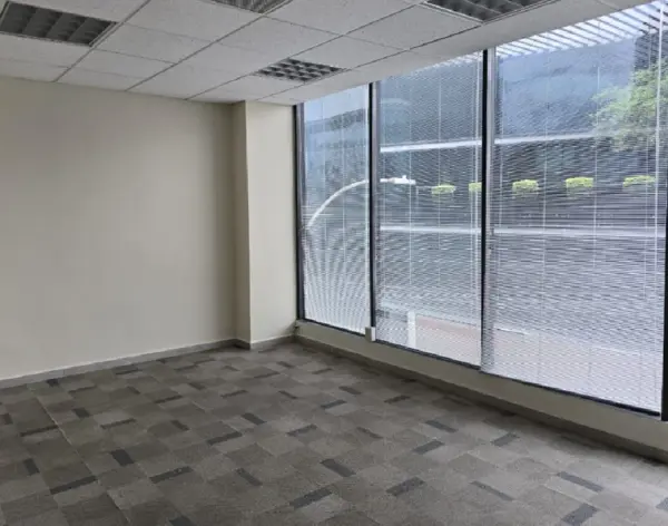 Oficina en Renta en Del Valle, San Pedro Garza García, Nuevo León 5