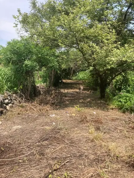 Terreno en venta en Xochitepec Centro, Xochitepec — foto 3 de 10