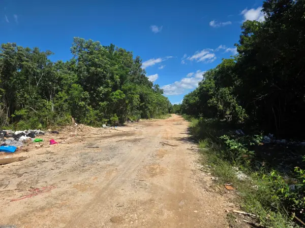 Terreno en venta en Alfredo V. Bonfil, Benito Juárez — foto 3 de 19