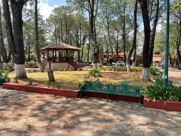 Terreno en venta en Mazamitla, Mazamitla — foto 3 de 7