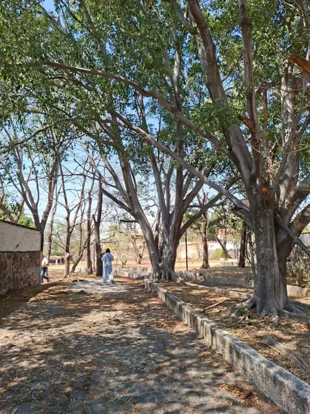 Terreno en venta en Cajititlan, Tlajomulco de Zúñiga — foto 3 de 65