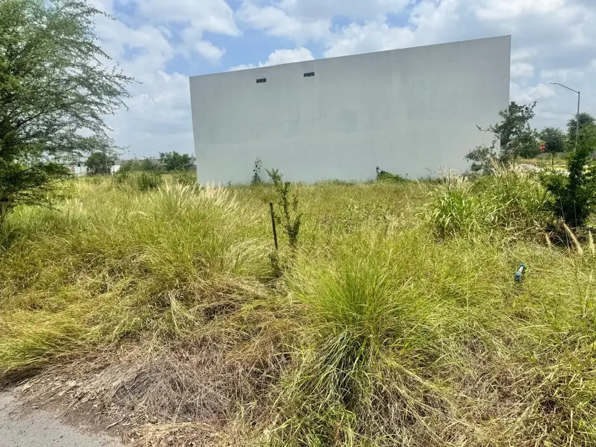 Terreno en venta en Dalias Residencial, Juárez — foto 1 de 3