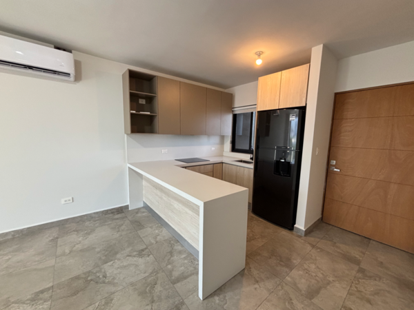 Departamento en renta en Chepevera, Monterrey — foto 2 de 33