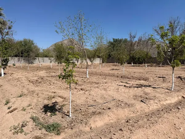 Finca-Rancho en venta en La Loma, Lerdo — foto 3 de 10