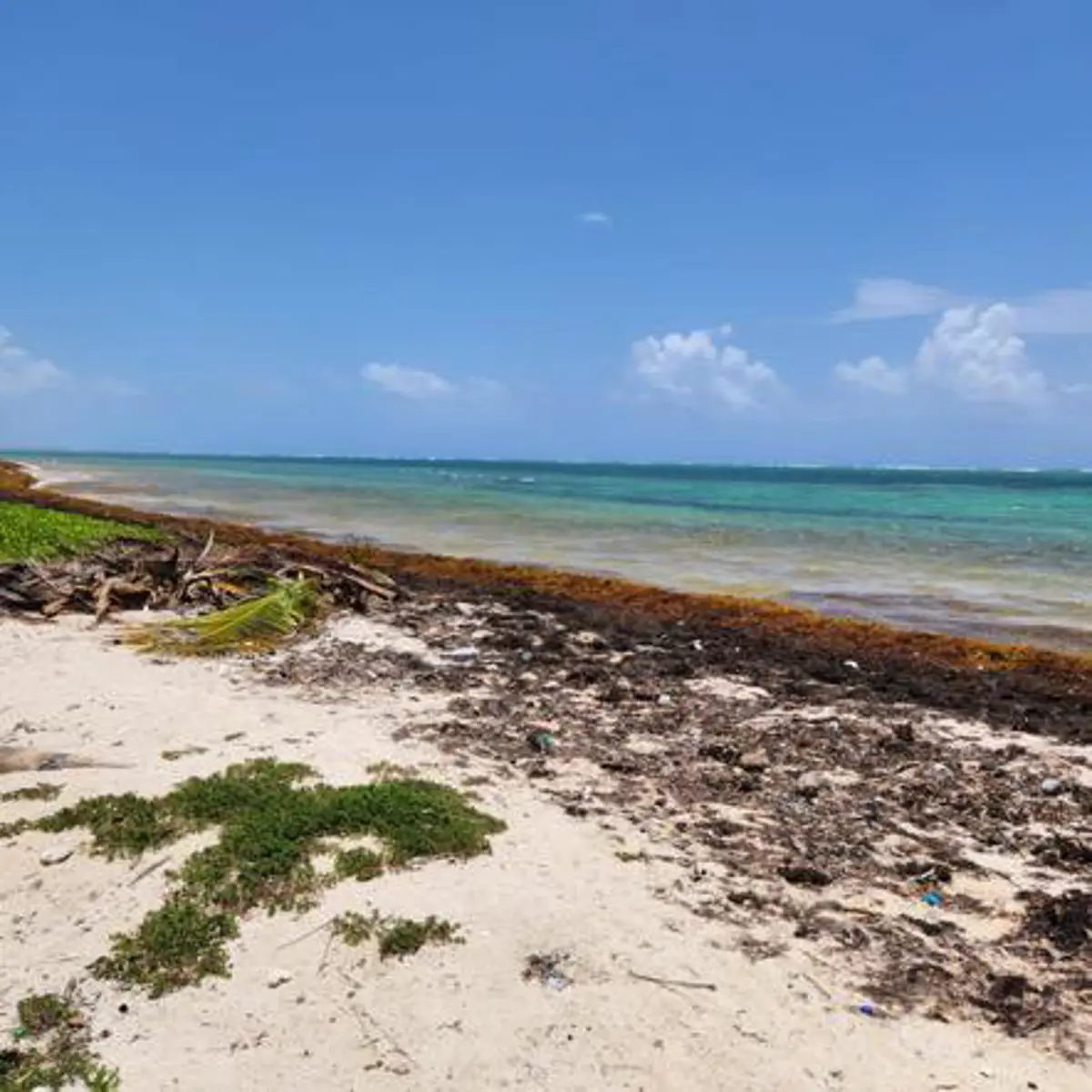 Terreno en venta en La Casona, Bacalar — foto 1 de 8