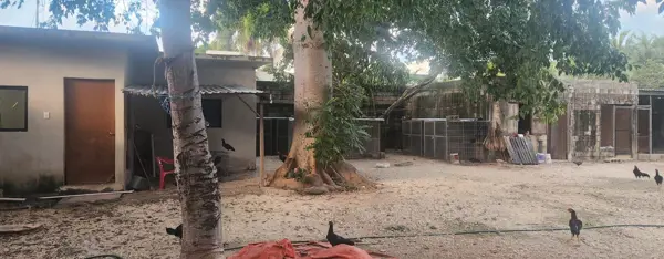 Terreno en renta en Alfredo V. Bonfil, Benito Juárez — foto 2 de 10