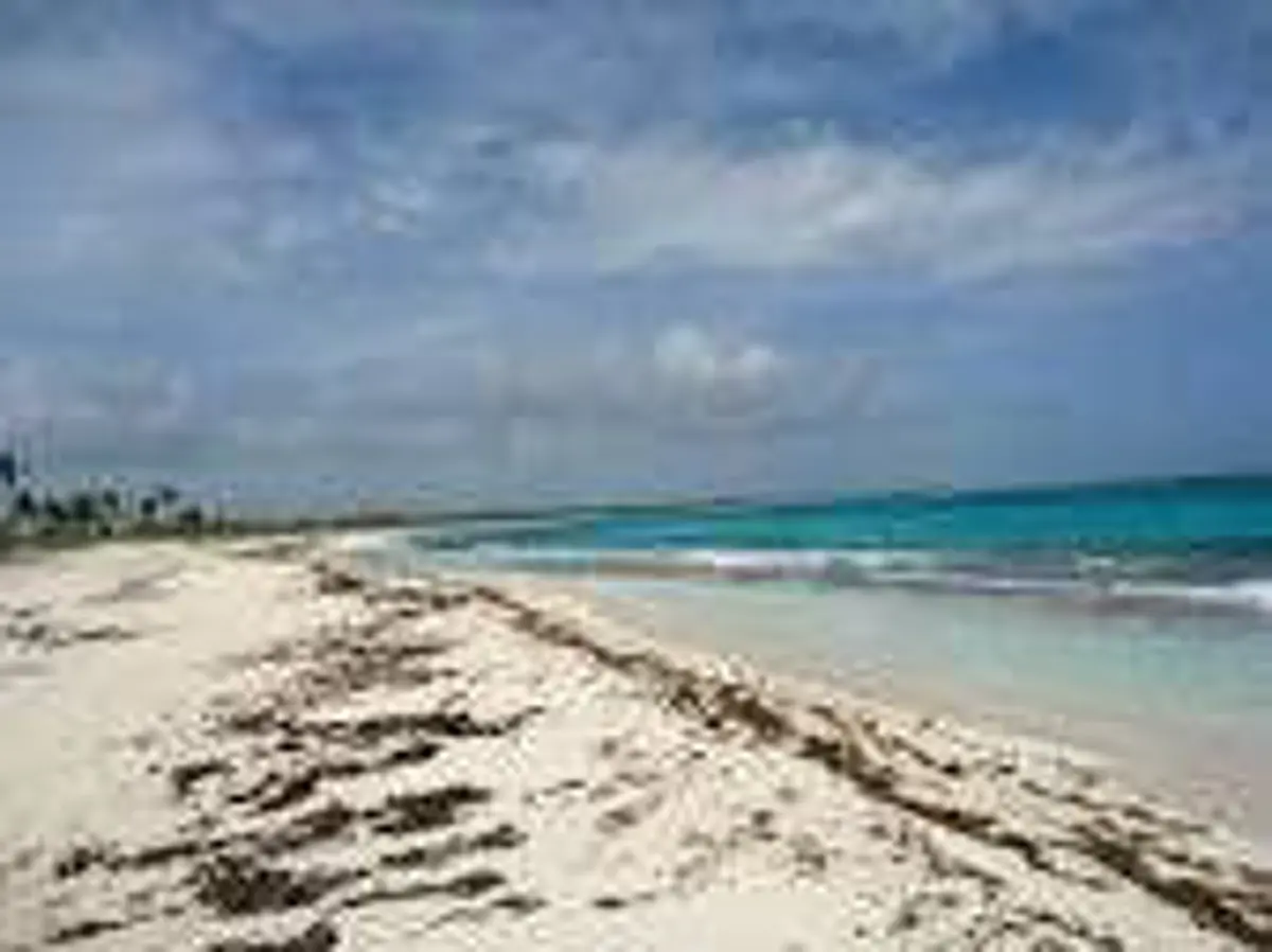 SE VENDE TERRENO FRENTE AL MAR CANCUN UVERO-MAHAHUAL SE VENDE TERRENO FRENTE AL MAR CANCUN UVERO-MAHAHUAL