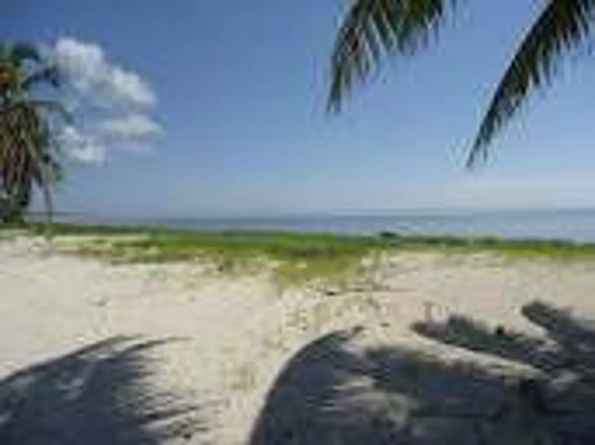 TERRENO EN VENTA MAHAHUAL, EL UVERO, FRENTE AL MAR TERRENO EN VENTA MAHAHUAL, EL UVERO, FRENTE AL MAR