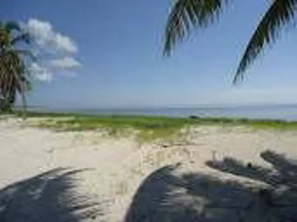 TERRENO EN VENTA  MAHAHUAL, EL UVERO, FRENTE AL MAR