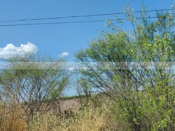 Terreno en venta en Camachito, Linares — foto 2 de 12