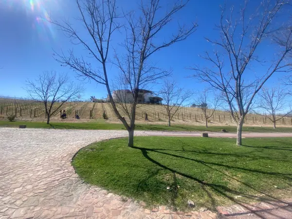 Terreno en venta en Parras, Parras — foto 2 de 14