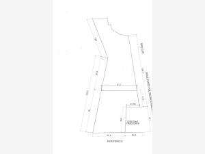 Terreno en venta en Los Viñedos, Torreón — foto 3 de 3